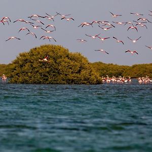 Flamingo Beach Hotel